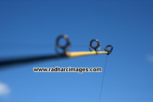 watching the rod tip fishing